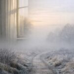 Camino invernal con niebla suave que simboliza empezar sin prisa y avanzar con presencia en enero